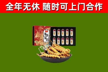 遵义市回收冬虫夏草价格
